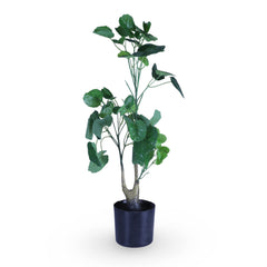 Artificial Shield Arallia Plant