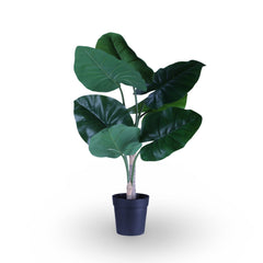 Artificial Alosacia Plant