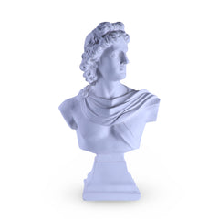 Plaster Male Bust Statue