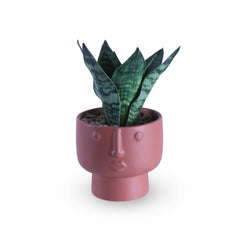 Terracota Face Plant Vase
