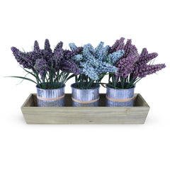 Lavender Pot Trio 