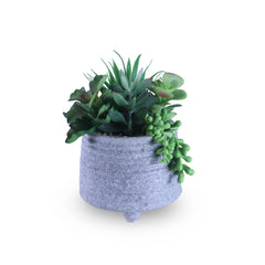 Artificial Potted Succulents