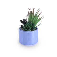Artificial Potted Succulent Trio
